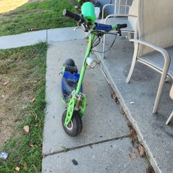 Electiric Scooter