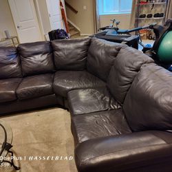 L-shaped Leather Couch