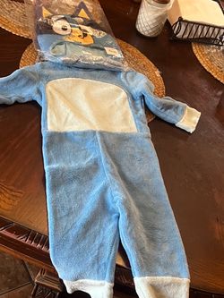 Bluey costume