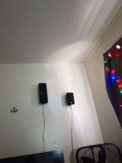 Boston speaker