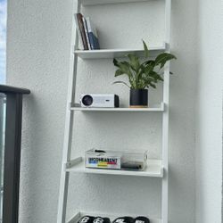 WHITE LADDER BOOK SHELF