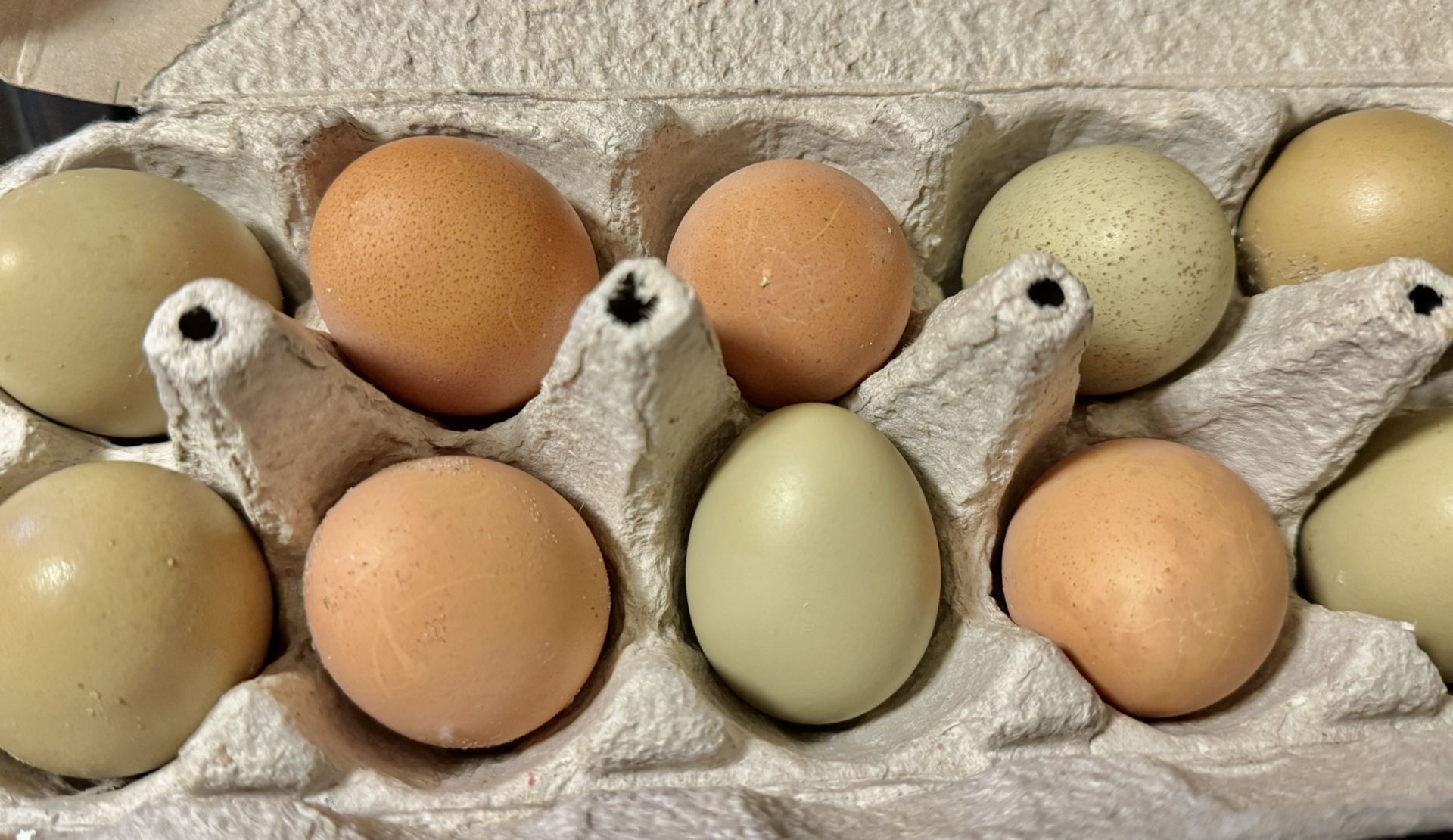 Farm fresh Eggs