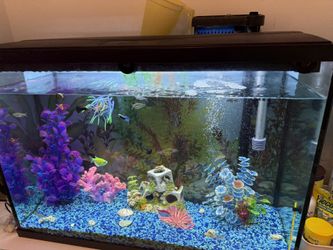 Top Fin Essentials Aquarium Kit 29 Gal