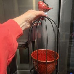 Bird Cage Planter Pot
