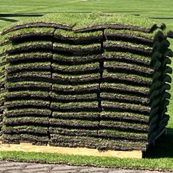 Pallets Of St Augustine Grass