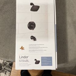 Moen Lindor Shower/Bath Set Up