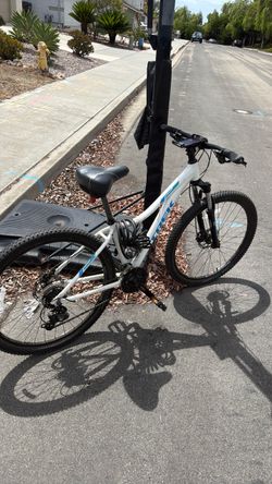 Trek Mountain Bike White and Blue