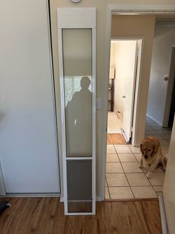 Pet Safe Brand Dog Door - Large