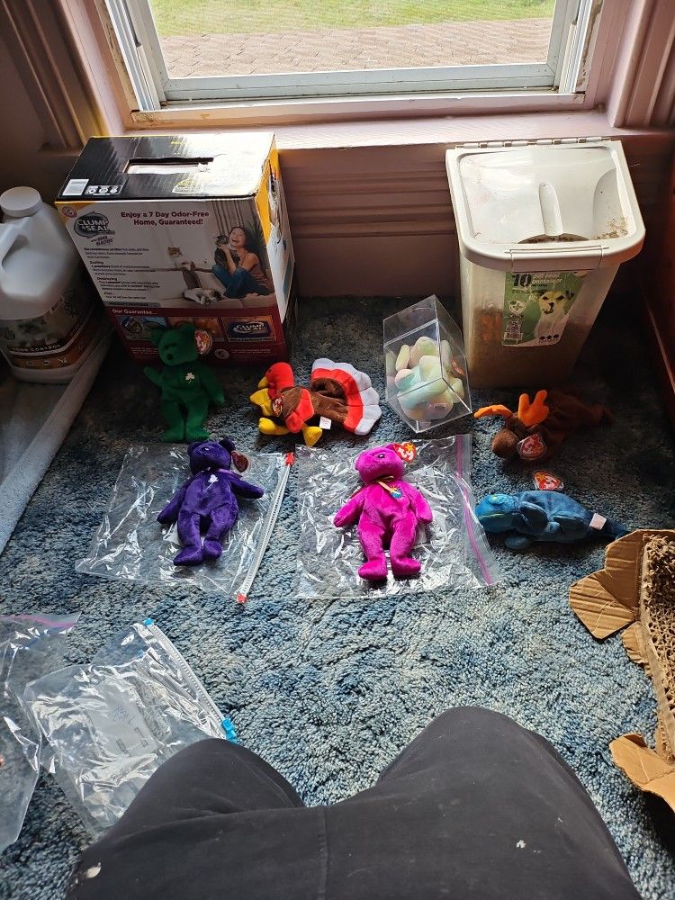 Rare Beanie Babies Have lots More