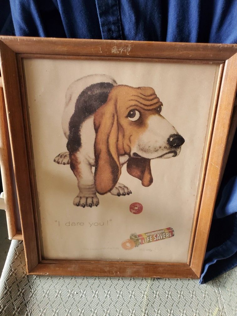 Lifesaver Candy Advertising