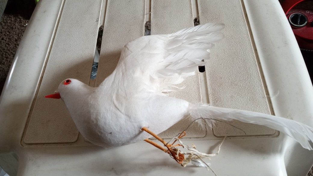 Foam Bird Wire It On To Top Of Curtain Or Something