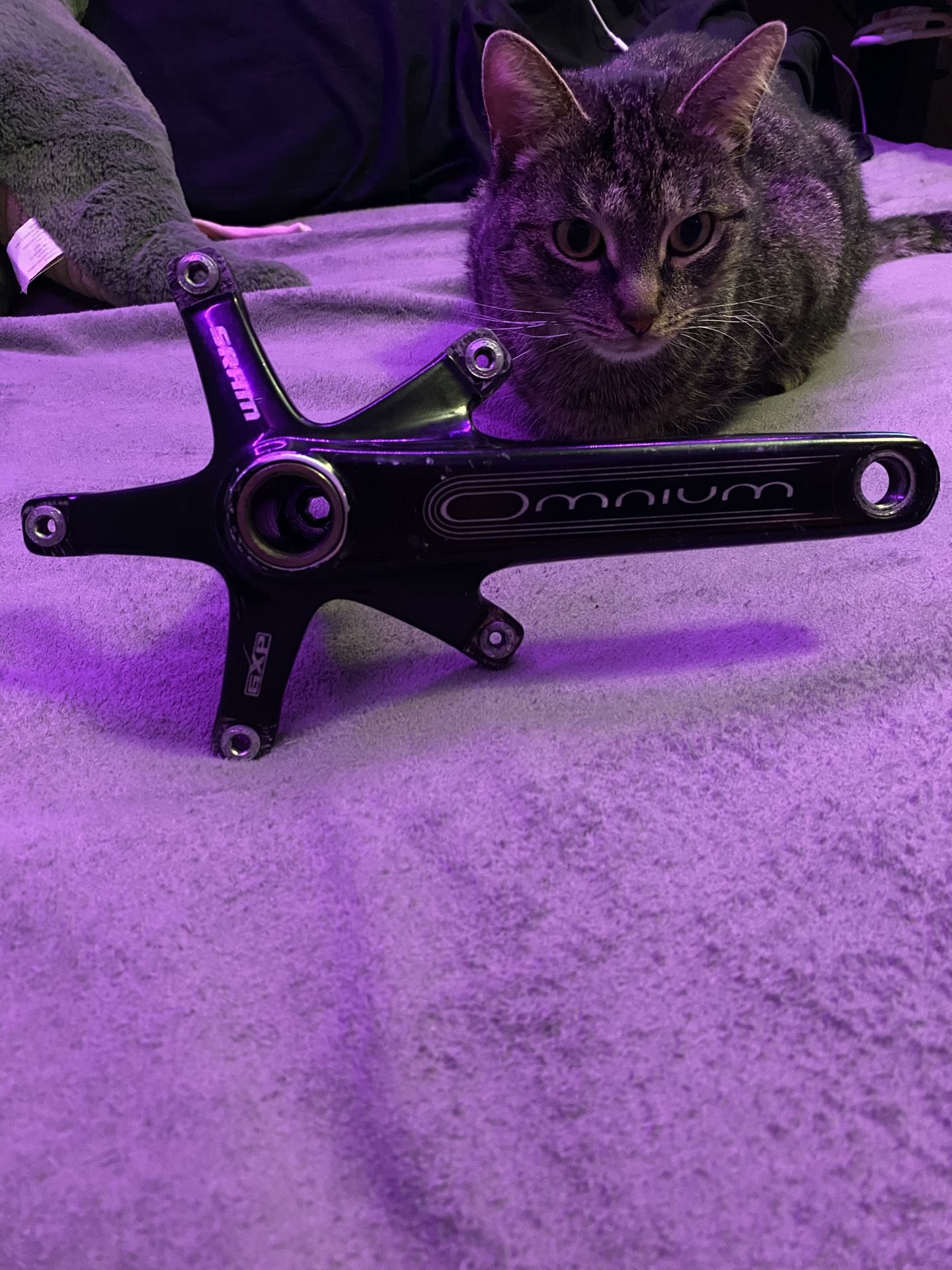 Omnium Crankset