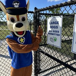 FOR SALE: Chase Police Dog Mascot Costume