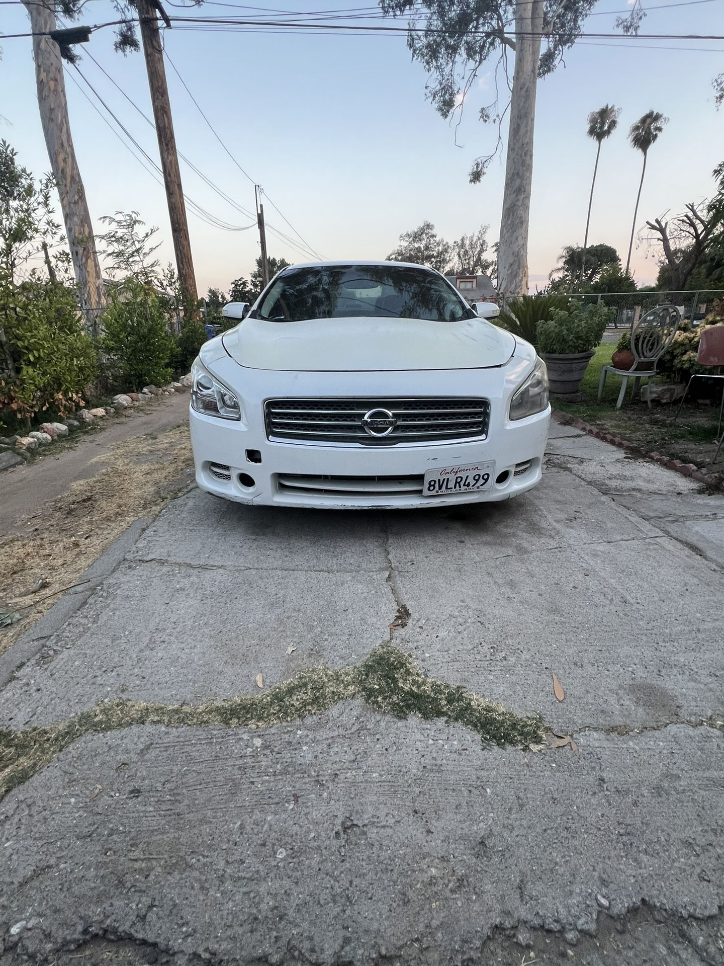 2009 Nissan Maxima