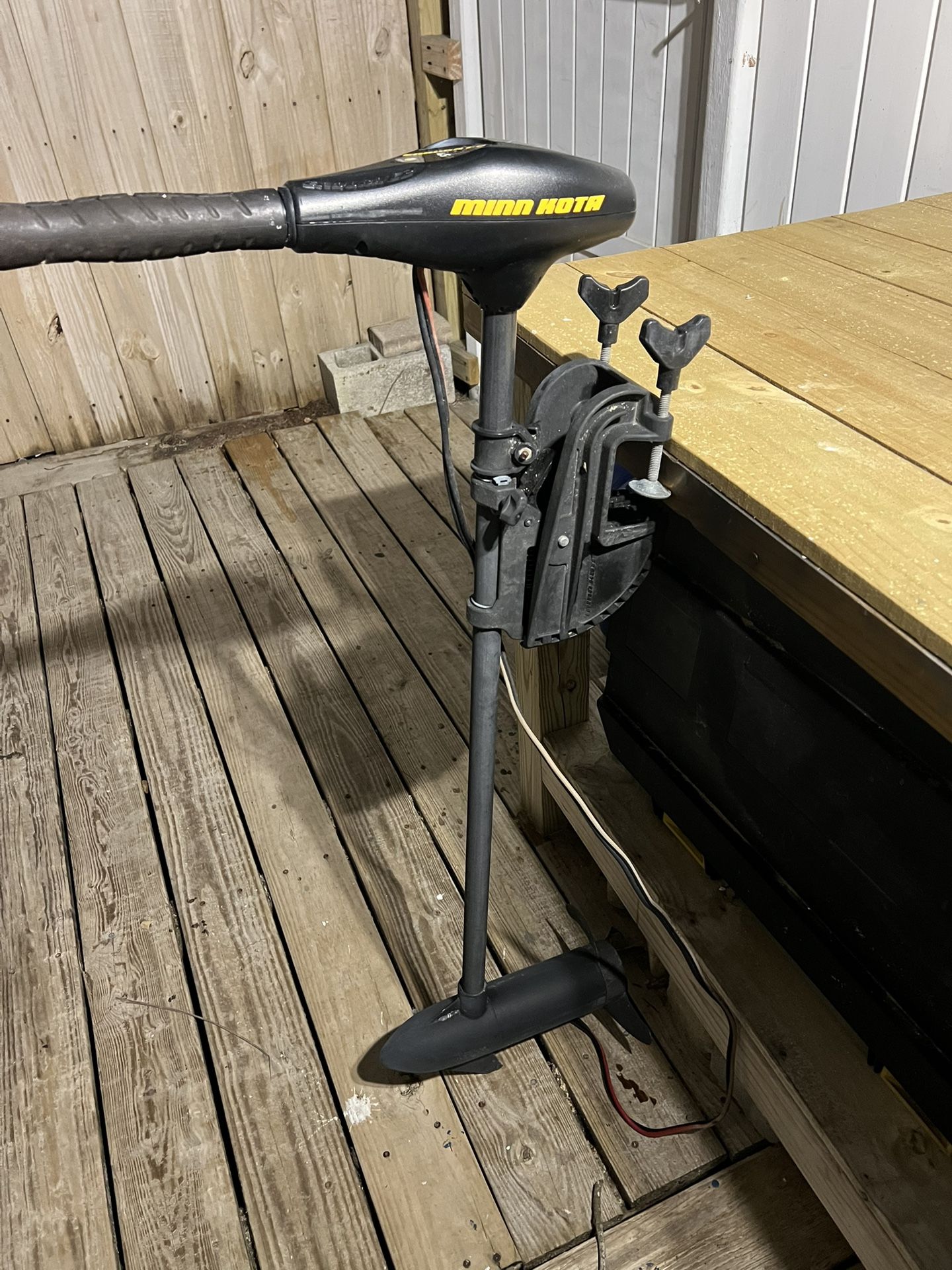 Minn Kota Endura C2 Trolling Motor