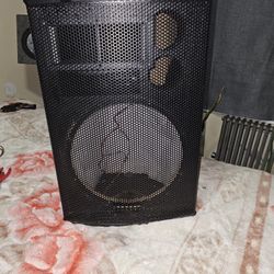 15 Imch Speaker Box Hold Plenty  Of Bass With Horn