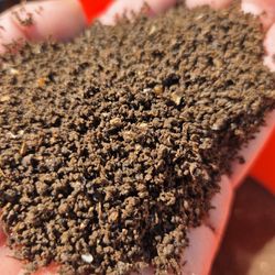 Worm Castings Black Gold