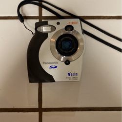 Panasonic Palm 3.3 Megapixel Camera 