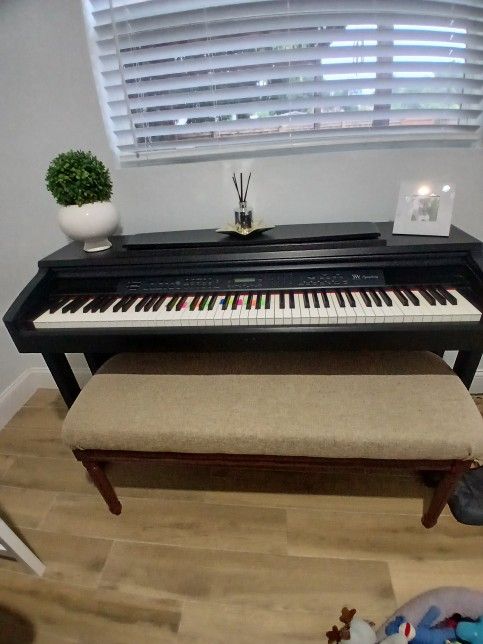 Williams Piano, Build In Demo, Exelent Condition $350