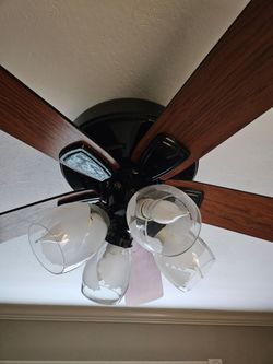 Ceiling Fan with Lights