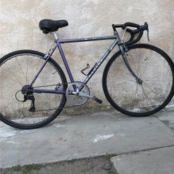 Raleigh RT 300, 50cm