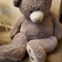 Teddy Bear 