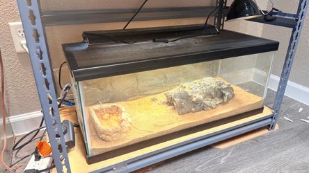 Glass Reptile Terrarium with Screen Lid