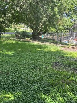 Chain-link black fence