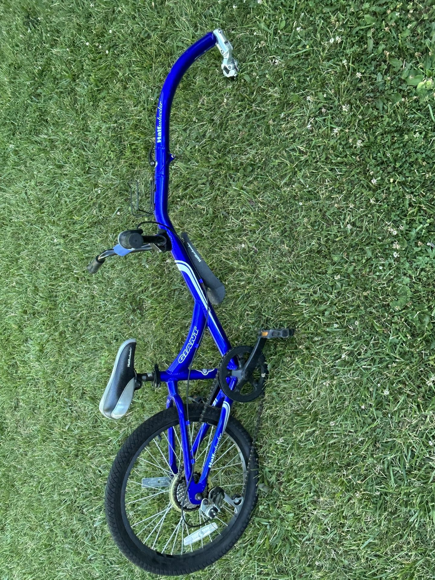 Giant Halfwheeler tag along child Bike