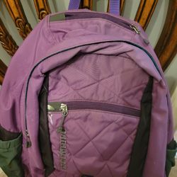 Patagonia Backpack 