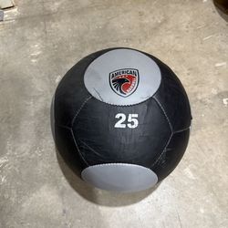 25 LB Wall ball