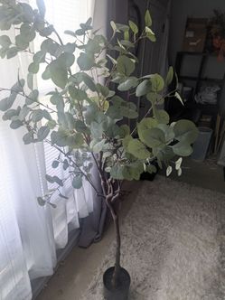 Artificial Olive Tree - Make me an offer!!