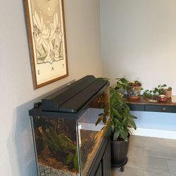 Fish Tank