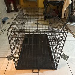 Dog Or Cat Kennel
