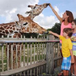 Zologico Zoo Tickets 