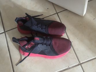 Pumas 