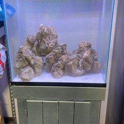 Fish Tank 