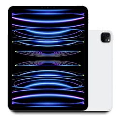 Apple iPad Pro 12.9 6G 1 TB  WiFi /cellular Silver Super clean like new, barely used