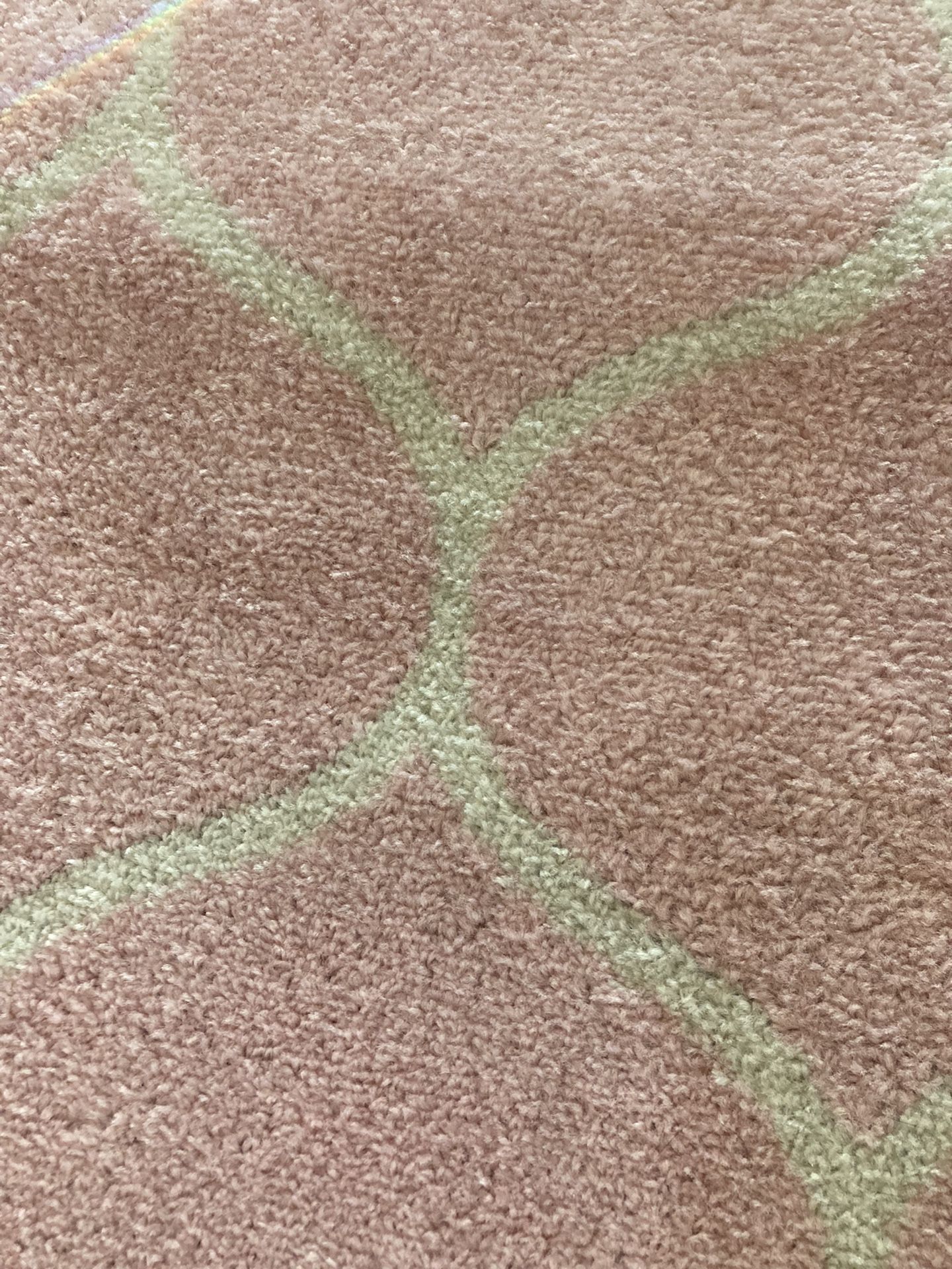Brand New 6x8 Pink & White Area Carpet.. Bought Last Month At Marshall’s.. Wrong Color