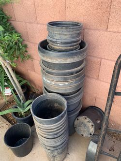 Plants Buckets Storage Containers Potts planters