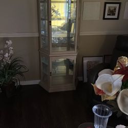 Curio Cabinet With Light.