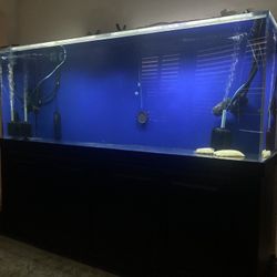 400 Gallon Acrylic Aquarium/Fish Tank