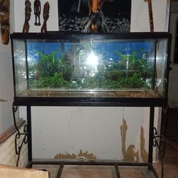 Fish Tank  With Stand 