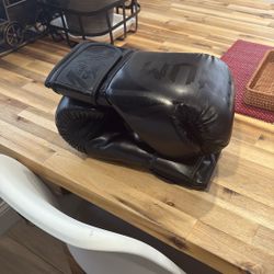 Venum 14 Oz Boxing Gloves