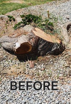 Stump Grinder tree trimmer tree Remover