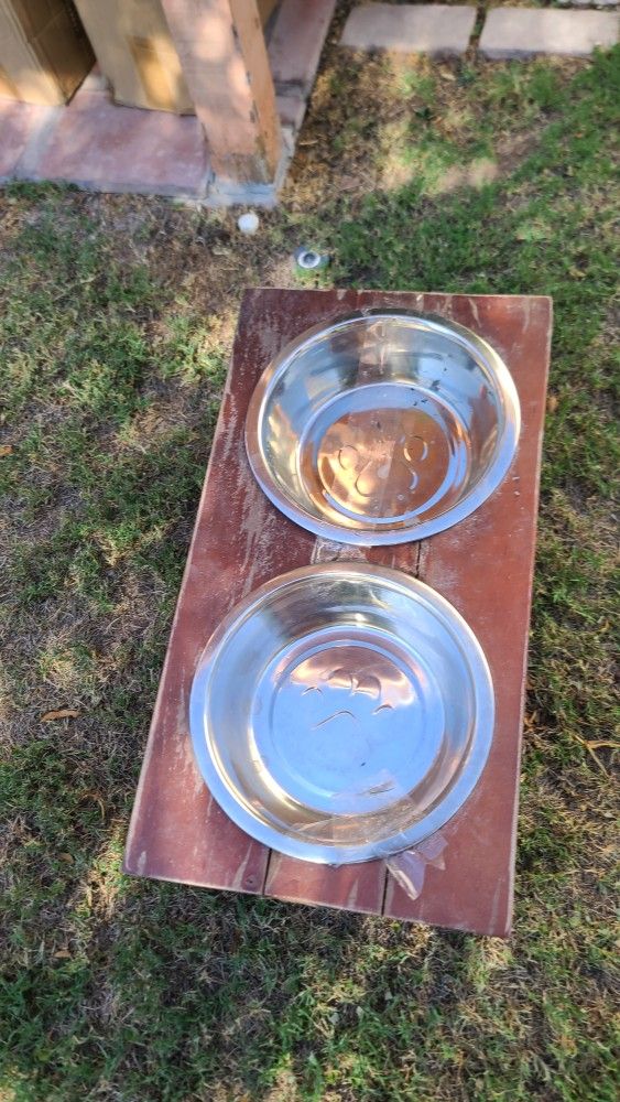 Dog Plates