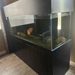 6'Fish Tank With Black Cabinet 180 Gallons