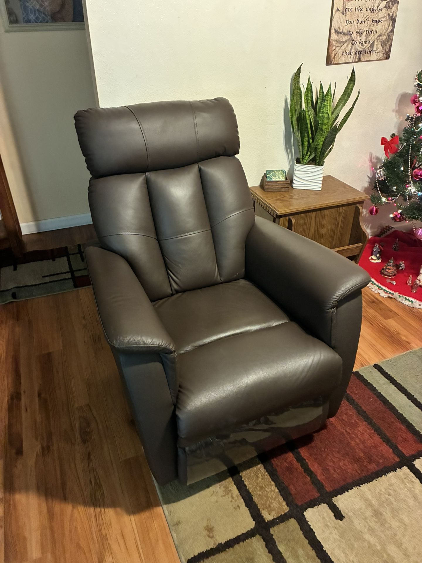 Couch And Electric Recliner 