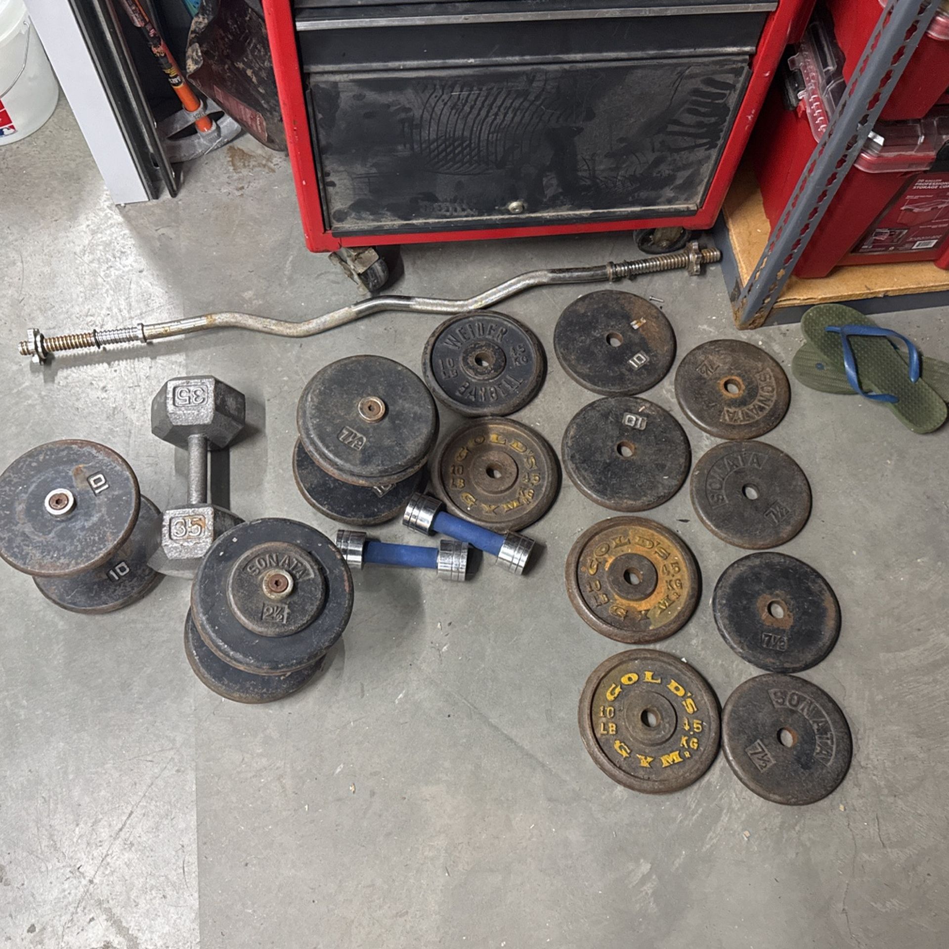 Curl Bar, Dumb Bells, Free Weights