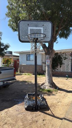 basketball court